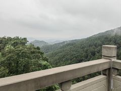 -铁山坪森林公园