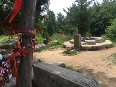 -抱犊崮国家森林公园