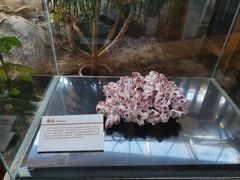 -中国第四纪冰川遗迹陈列馆