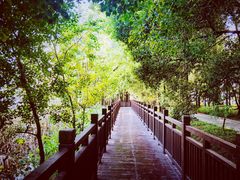 -东湖落雁景区