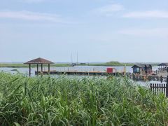 -太湖湖滨国家湿地公园-停车场