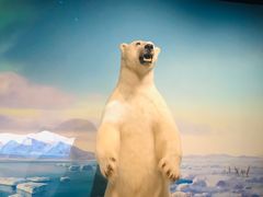 -陕西自然博物馆