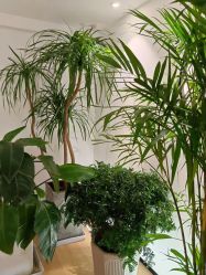 -吾之瑜生瑜伽普拉提学院