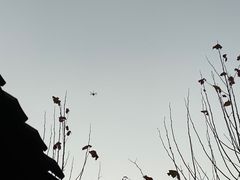 -御林汤泉