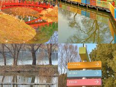-七桥瓮公园