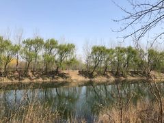 -东郊湿地公园