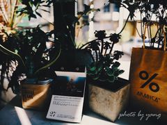 -隹木咖啡馆(宝龙广场店)