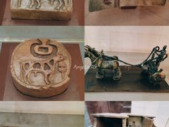 -中国湿地博物馆