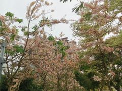 -四海公园(南山区)