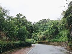 -火炉山森林公园