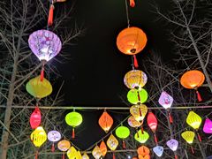 -南宫五洲植物乐园