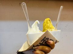 -野人牧坊Gelato(苏州中心店)