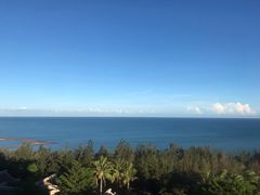 -海南棋子湾开元度假村·祺咖啡自助餐厅