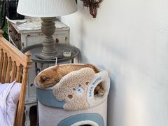 -Vanillacafe香草咖啡(银海大世界店)
