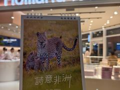 -好利来(乐堤港店)