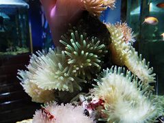 -太平洋海底世界