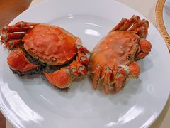-王宝和酒家(黄浦店)