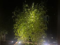 -鹤祥宫影院足道SPA连锁(吉大万国汇钰海店)