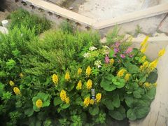 -白草畔自然风景区