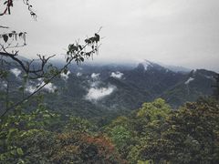 -青城山