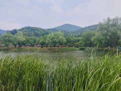 -石塘人家
