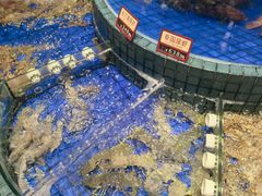 -金悦轩海鲜酒家(拱北店)