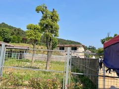 -安徽大青山野生动物世界