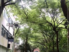 -杭州半山国家森林公园