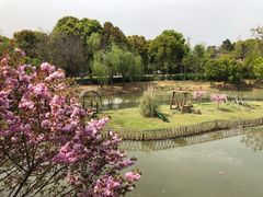 -无锡动物园·太湖欢乐园