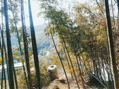 -长沙黑麋峰国家森林公园