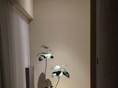 -木兰逸•泰式按摩•头疗•SPA(车公庙店)