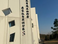 -盐城丹顶鹤湿地生态旅游区