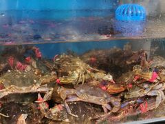 -宾朋海鲜特色美食餐厅·纯手工鲅鱼水饺(兴海路店)