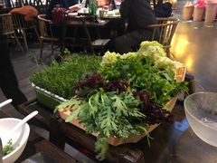鲜活豌豆苗-番食园鲜食火锅(高新店)