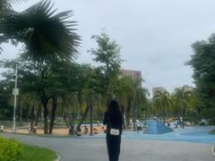 -宝安西湾红树林湿地公园