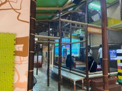 -卡通尼·Safari非洲探索乐园·生日会(金桥国际商业广场店)