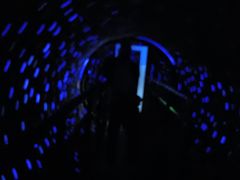 -福州罗源湾海洋世界旅游区