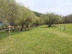 -大水川景区