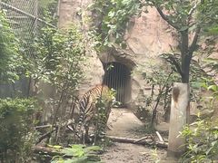 -成都动物园
