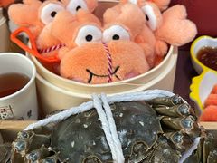 -黄记大闸蟹专卖店·活蟹·醉蟹