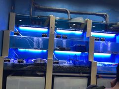 水产区-老虎滩大连海鲜烧烤(建邺云锦路总店)