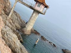 -小麦岛公园