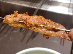 -邢氏老太太烤串(北兴街店)