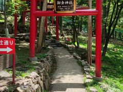 -宫城藏王狐狸村