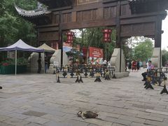-黄龙溪古镇