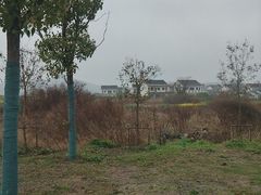-海宁市观音寺