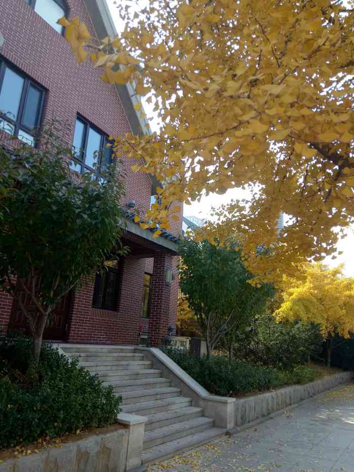 南山1910-"南山1910项目,位于中山区极优地段,七."-大众点评移动版