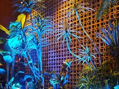 -泰适SPA馆丨精油·按摩·足道(购物公园店)