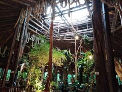 -绿光森林餐厅