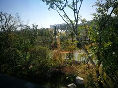 -苏州宝带桥国际大酒店自助餐厅